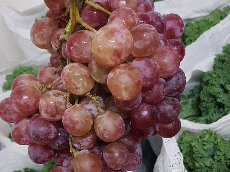 Uvas 🍇  Rosadas 1/2 kg