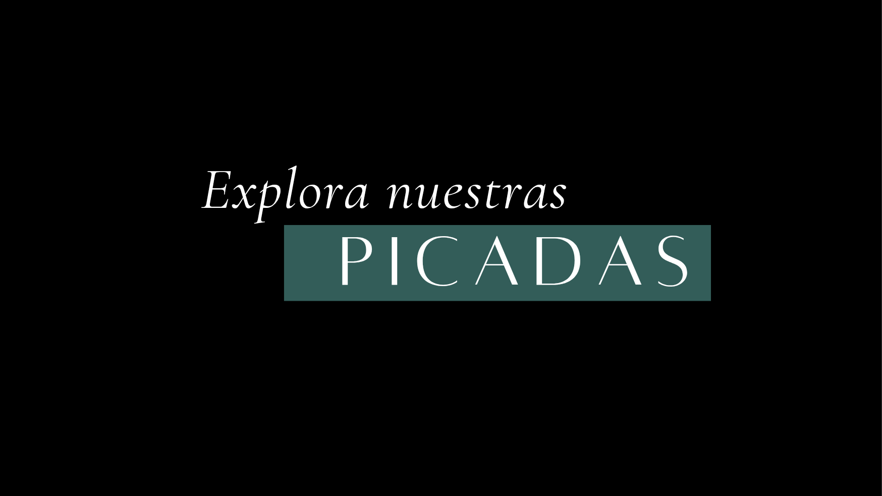 Explorá nuestras Picadas
