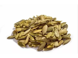 Semillas de zapallo Verde A