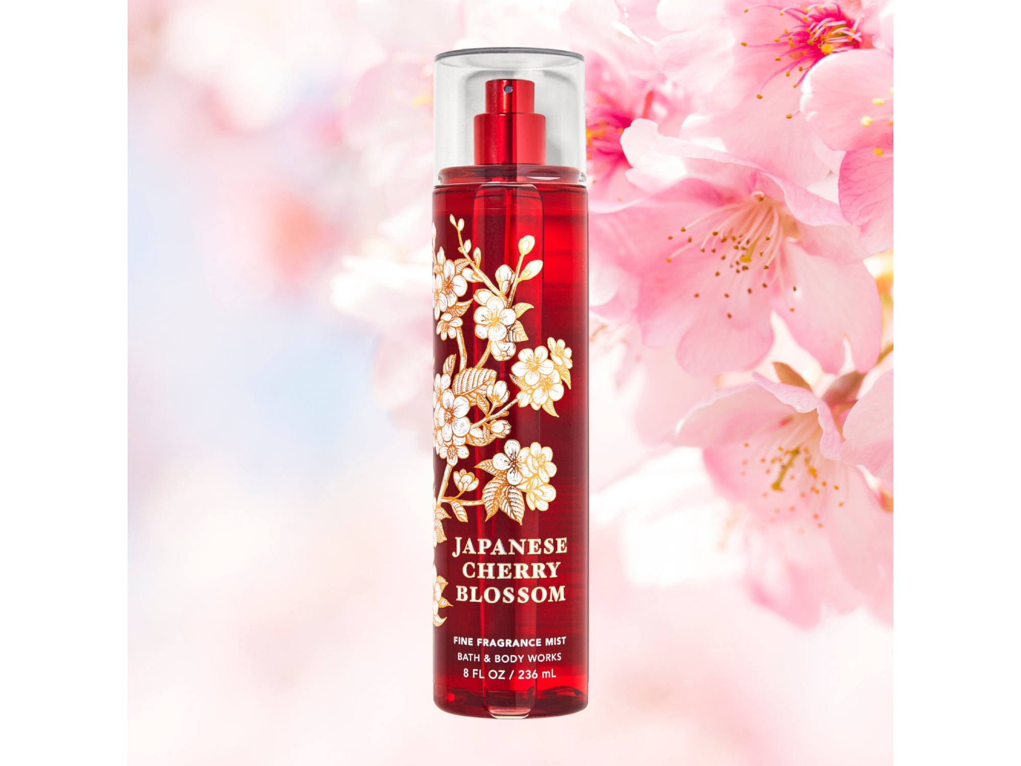 Japanese Cherry Blossom 236ml Bruma corporal - Bath & Body Works