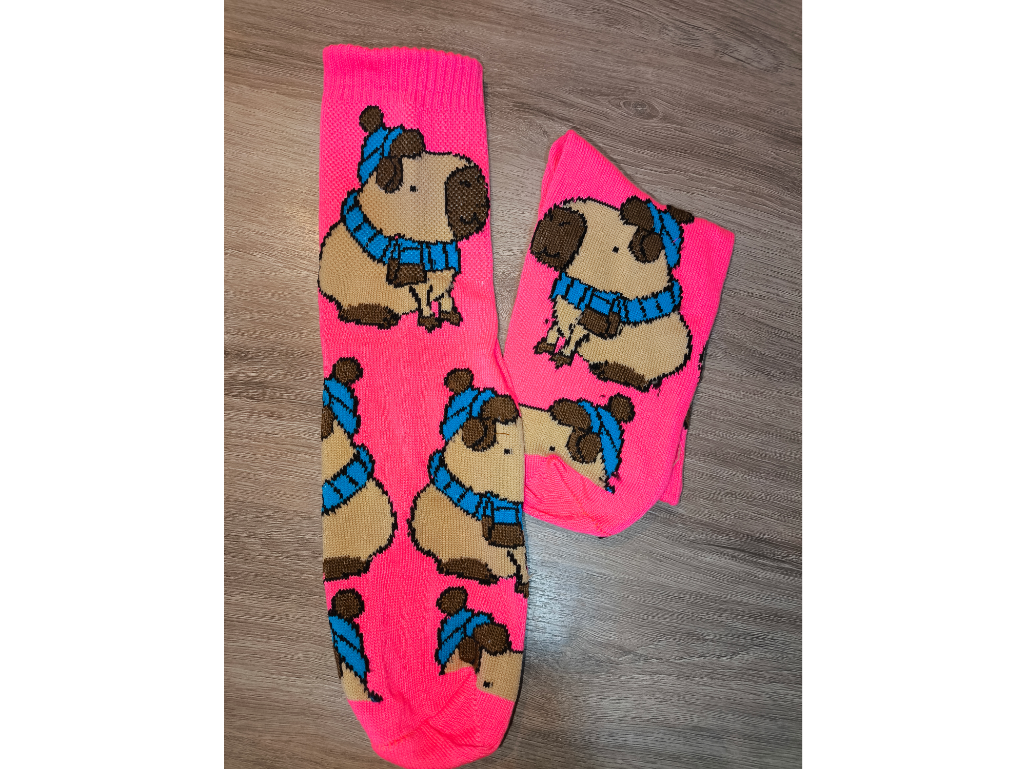 Rosa flúor Capibara