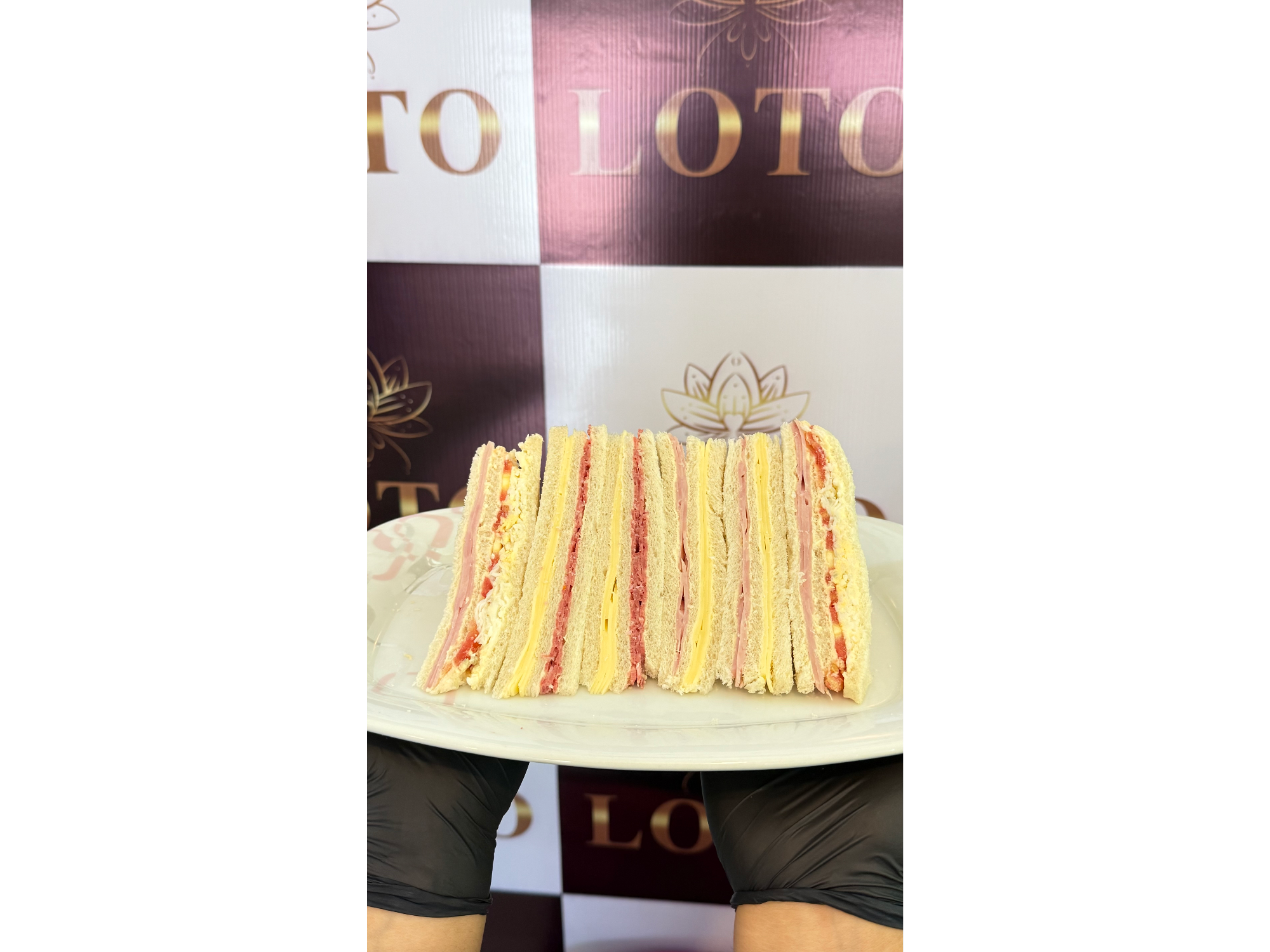 Sanwhich de mega X12