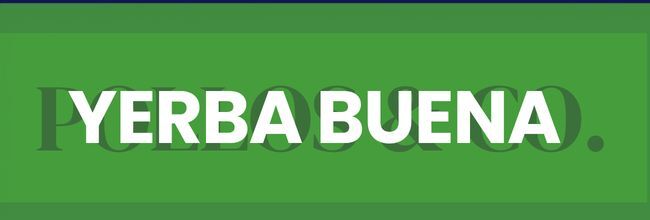 Yerba buena