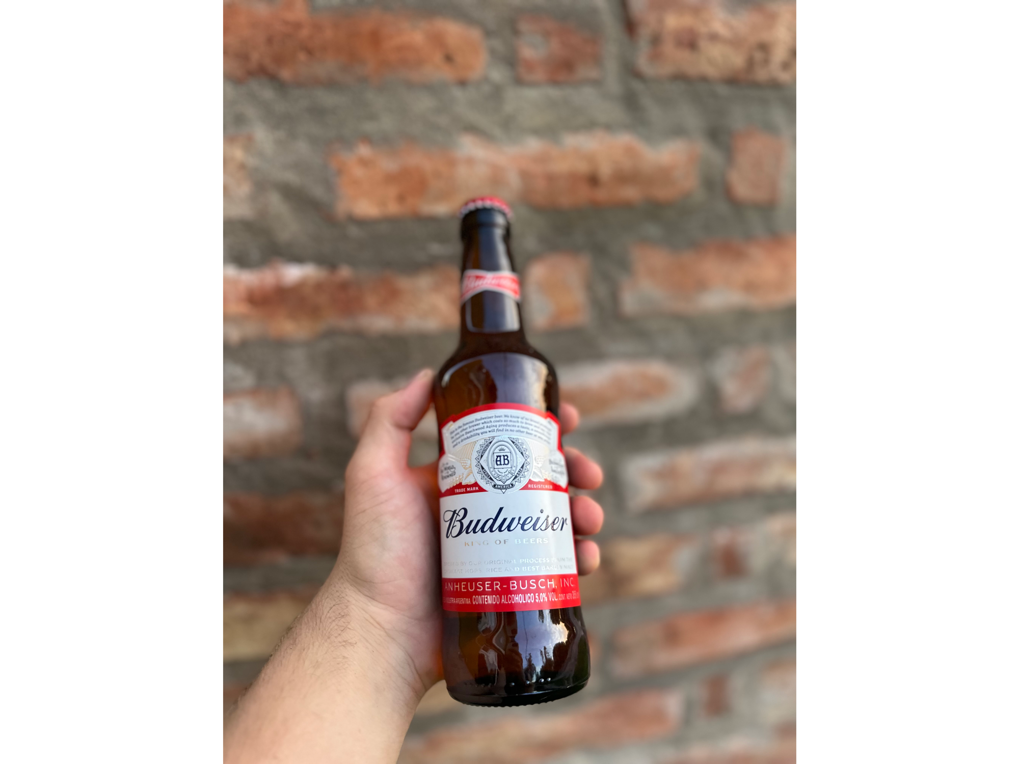 Budweiser 355ml
