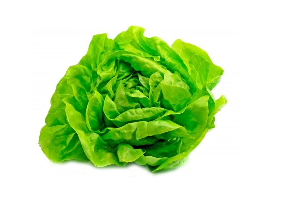 Lechuga Mantecosa por unidad