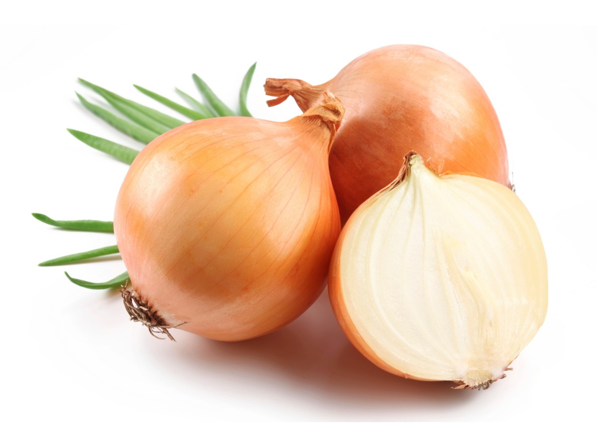 Cebolla