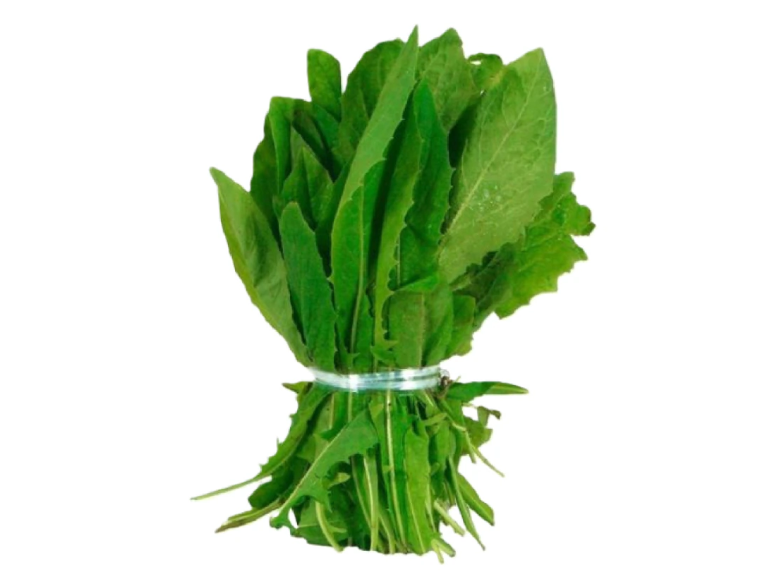 Achicoria