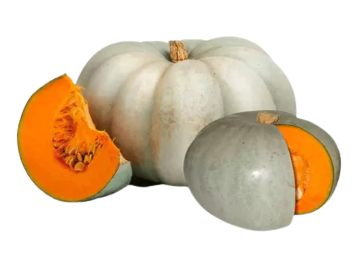 Zapallo Plomo