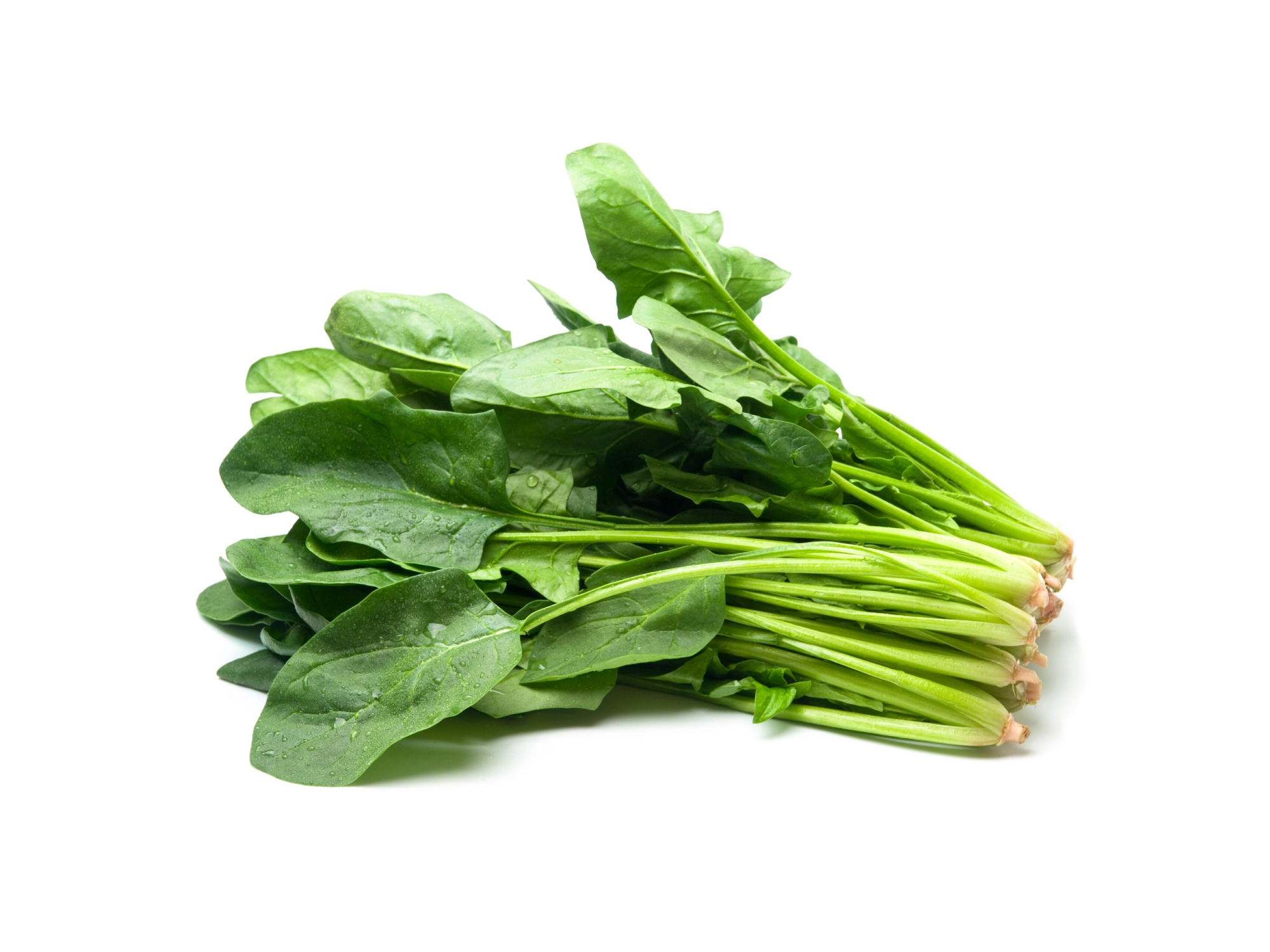 Espinaca