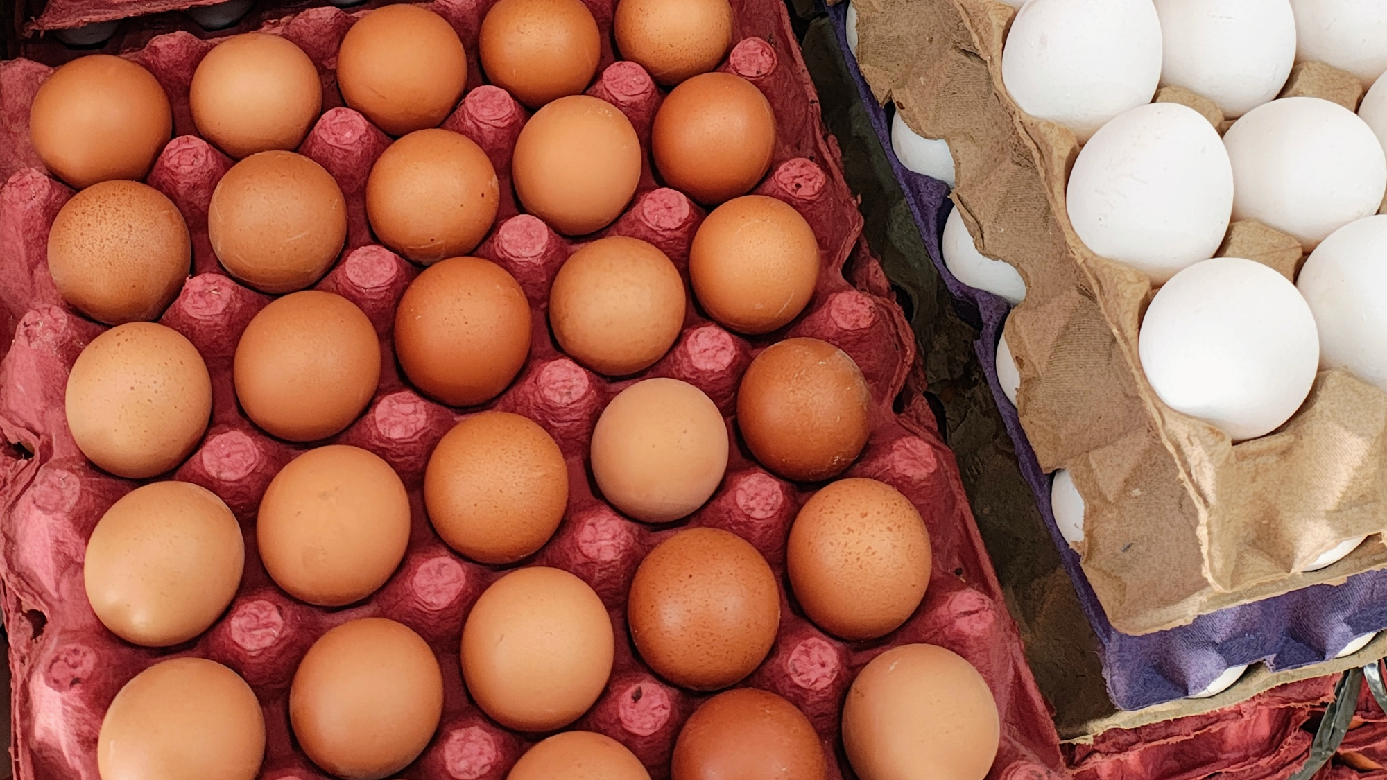 Huevos