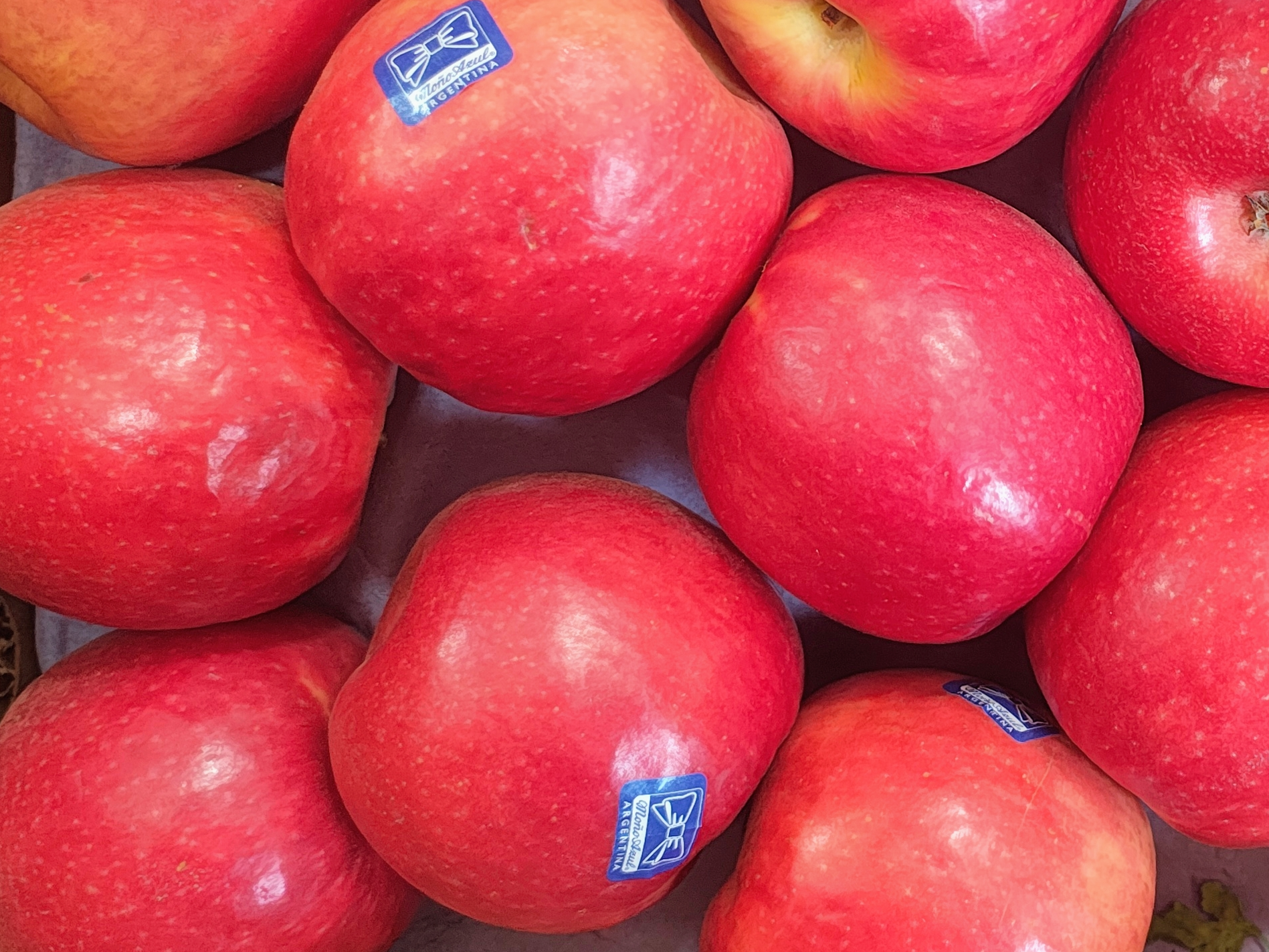 Manzana Rosa