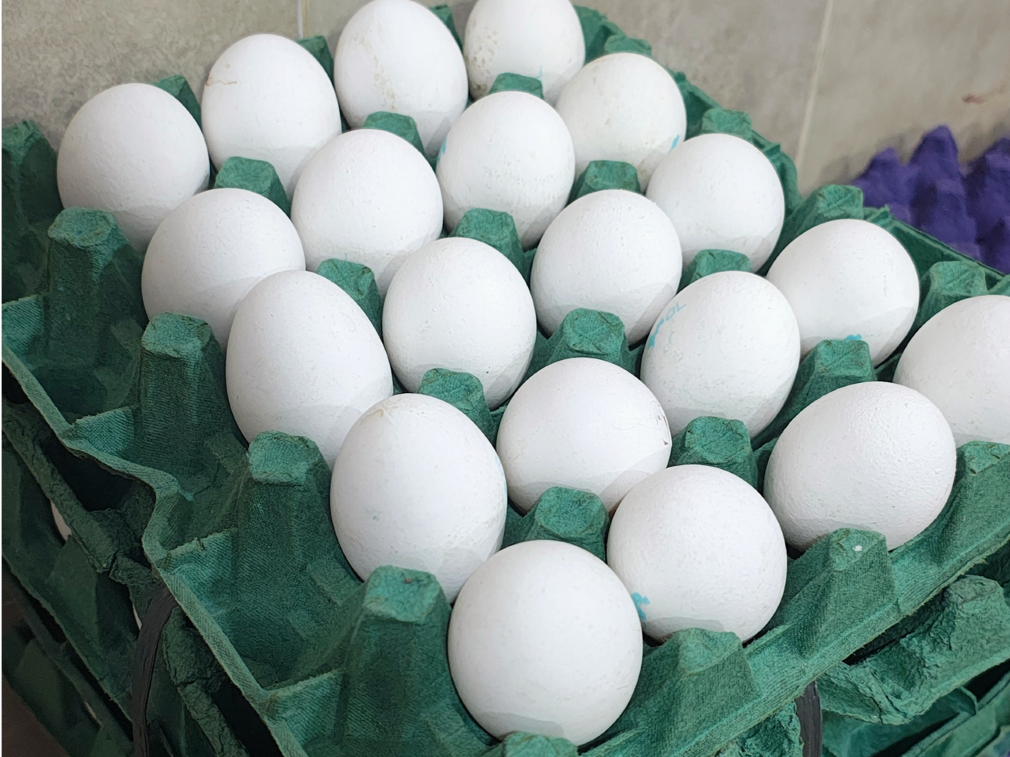 Maple de 20 huevos grandes.