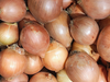 Cebolla