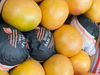 Pomelo Rosado