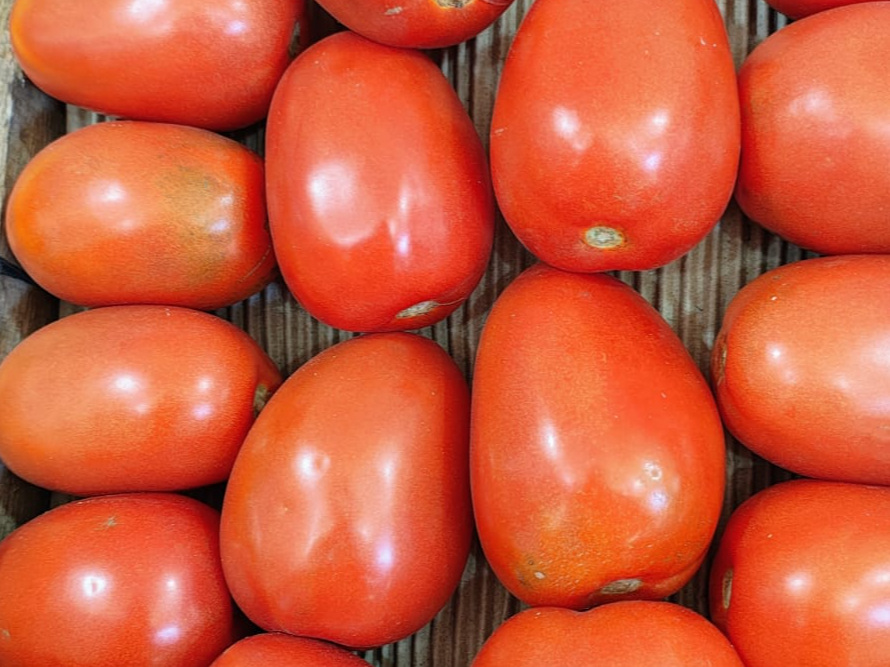Tomate perita