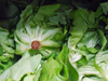 Lechuga mantecosa