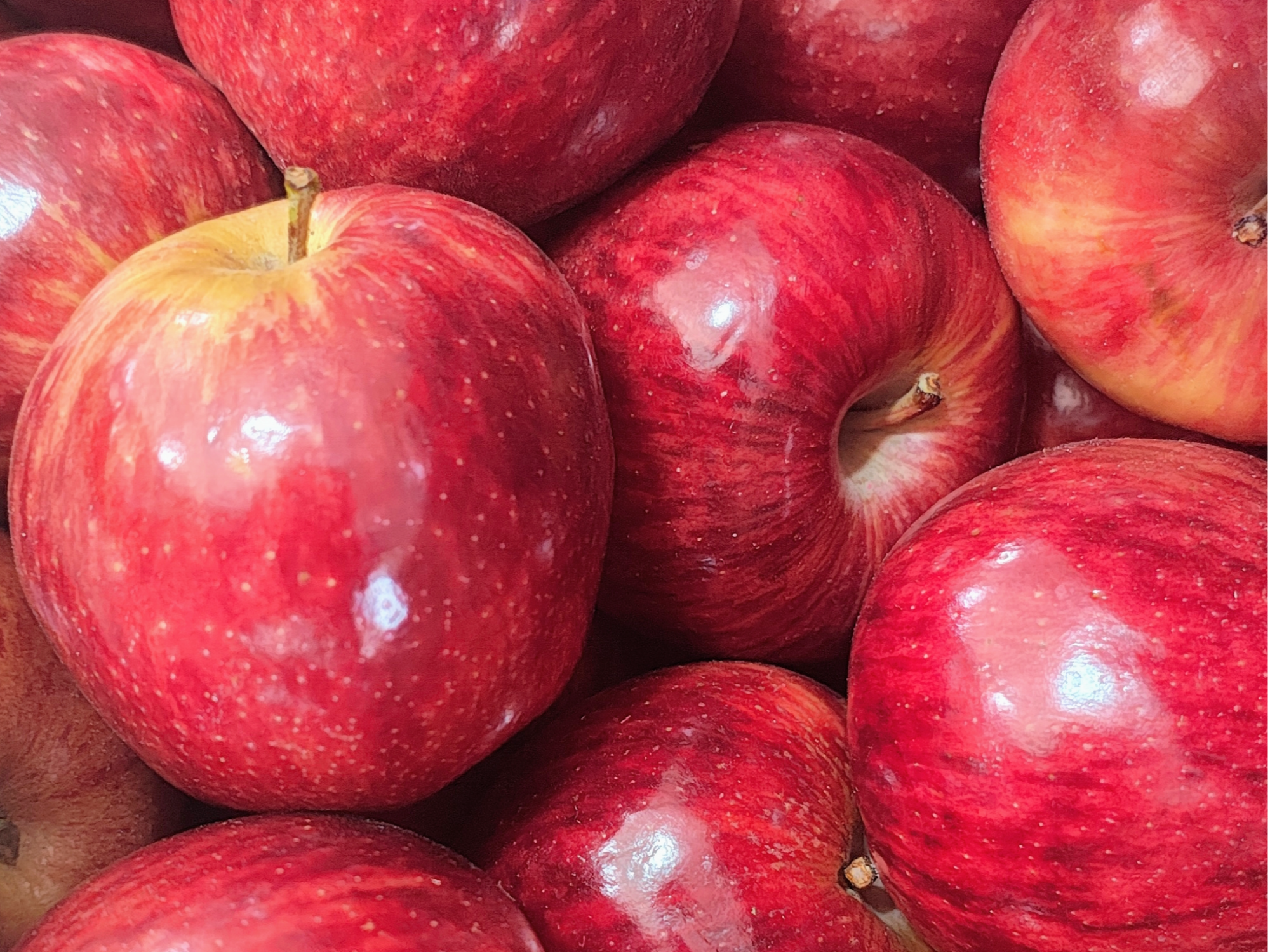 Manzana  ( Tamaño Pequeño)