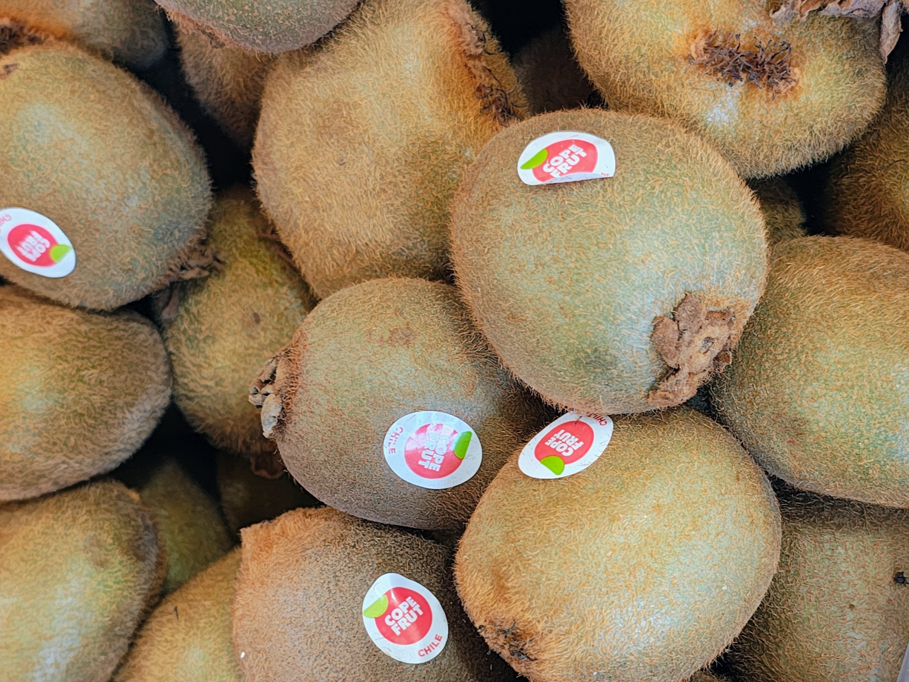 Kiwi