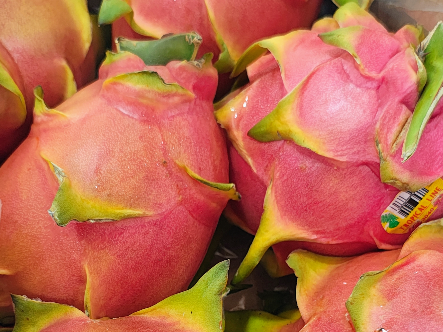 Pitaya o Fruta del Dragón ( cascara rosa pulpa blanca)