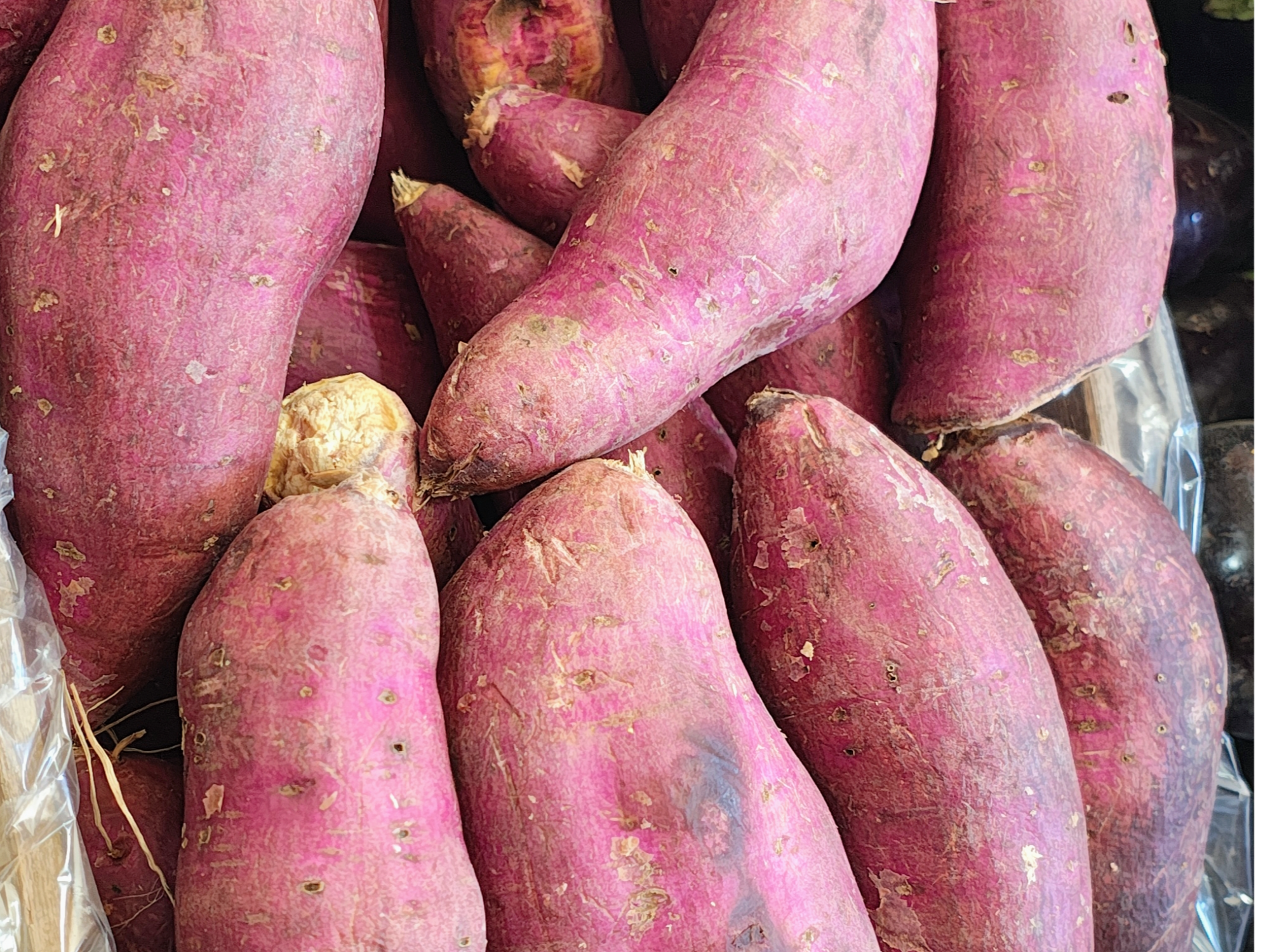 Batata 🍠