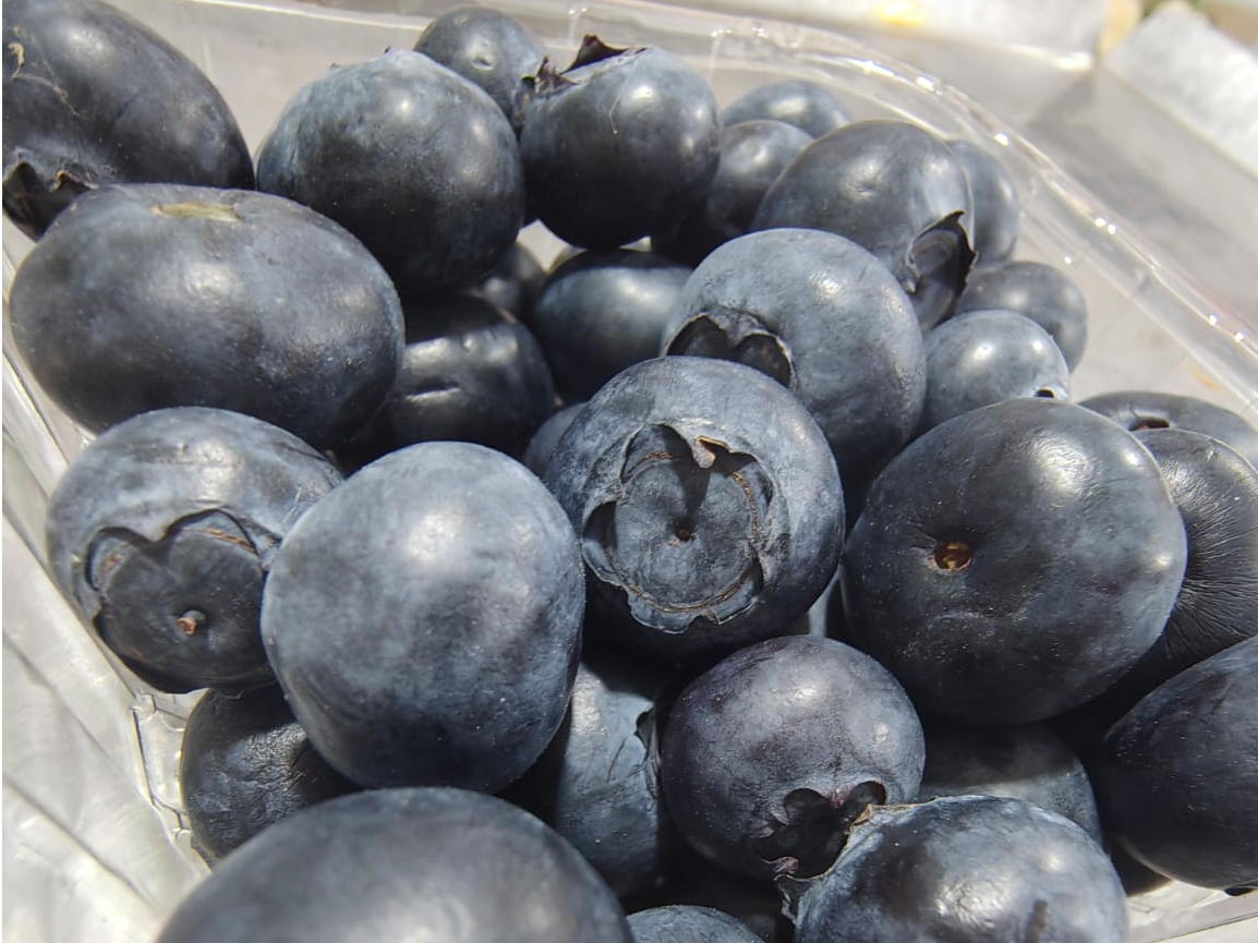 Arandanos