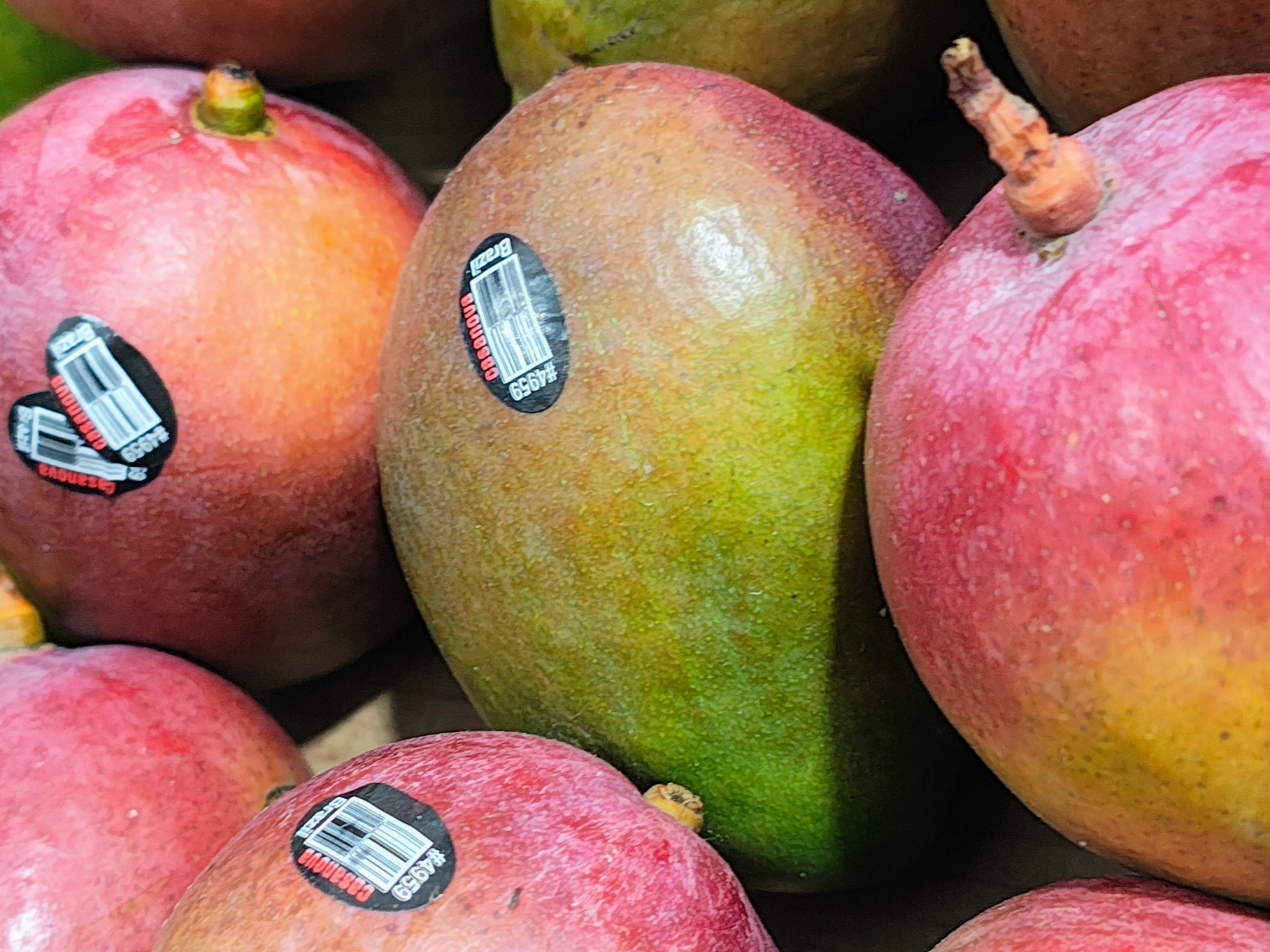 Mango