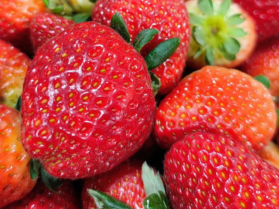 Frutilla