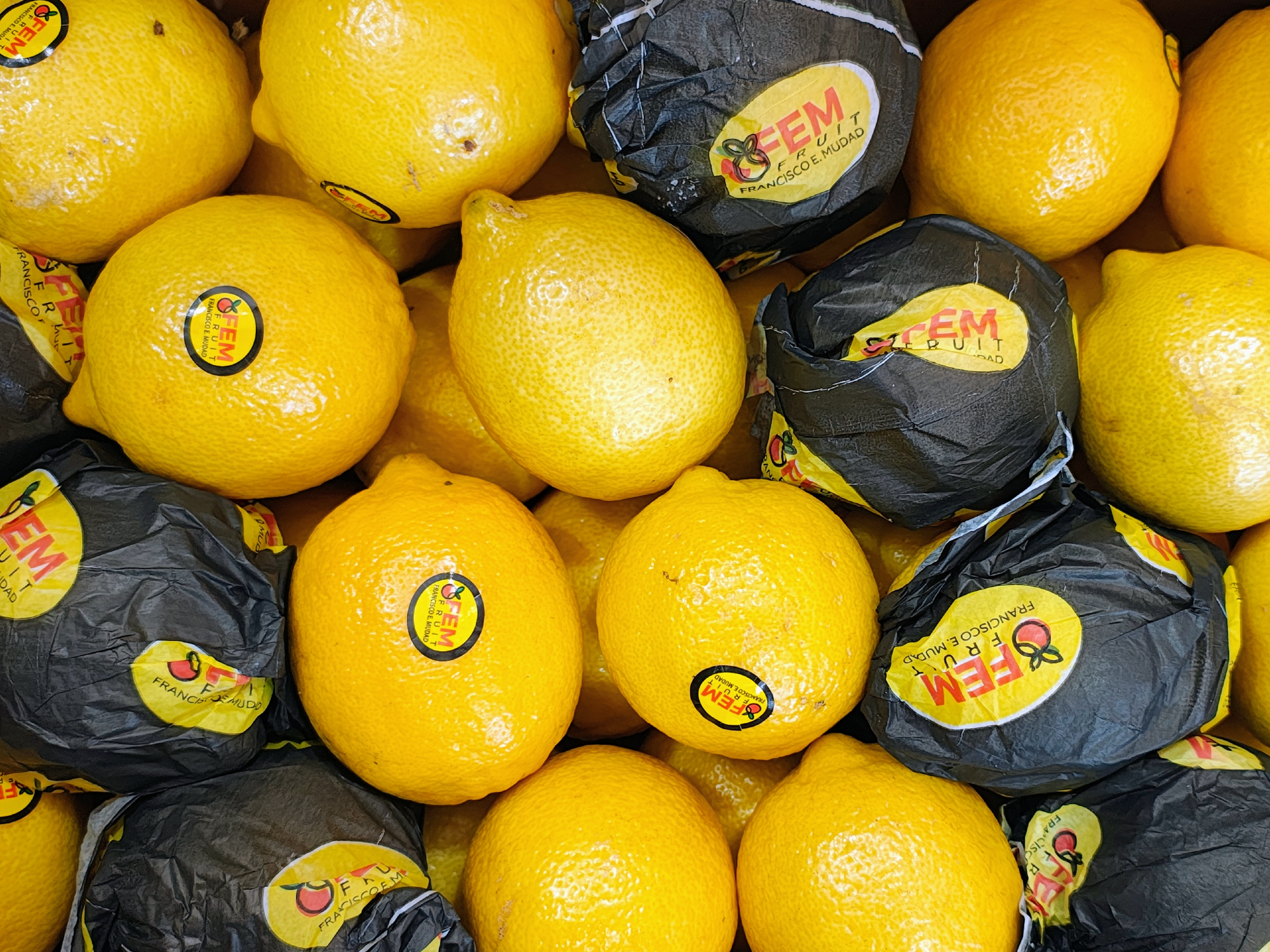 Limón