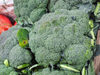 Brócoli 🥦