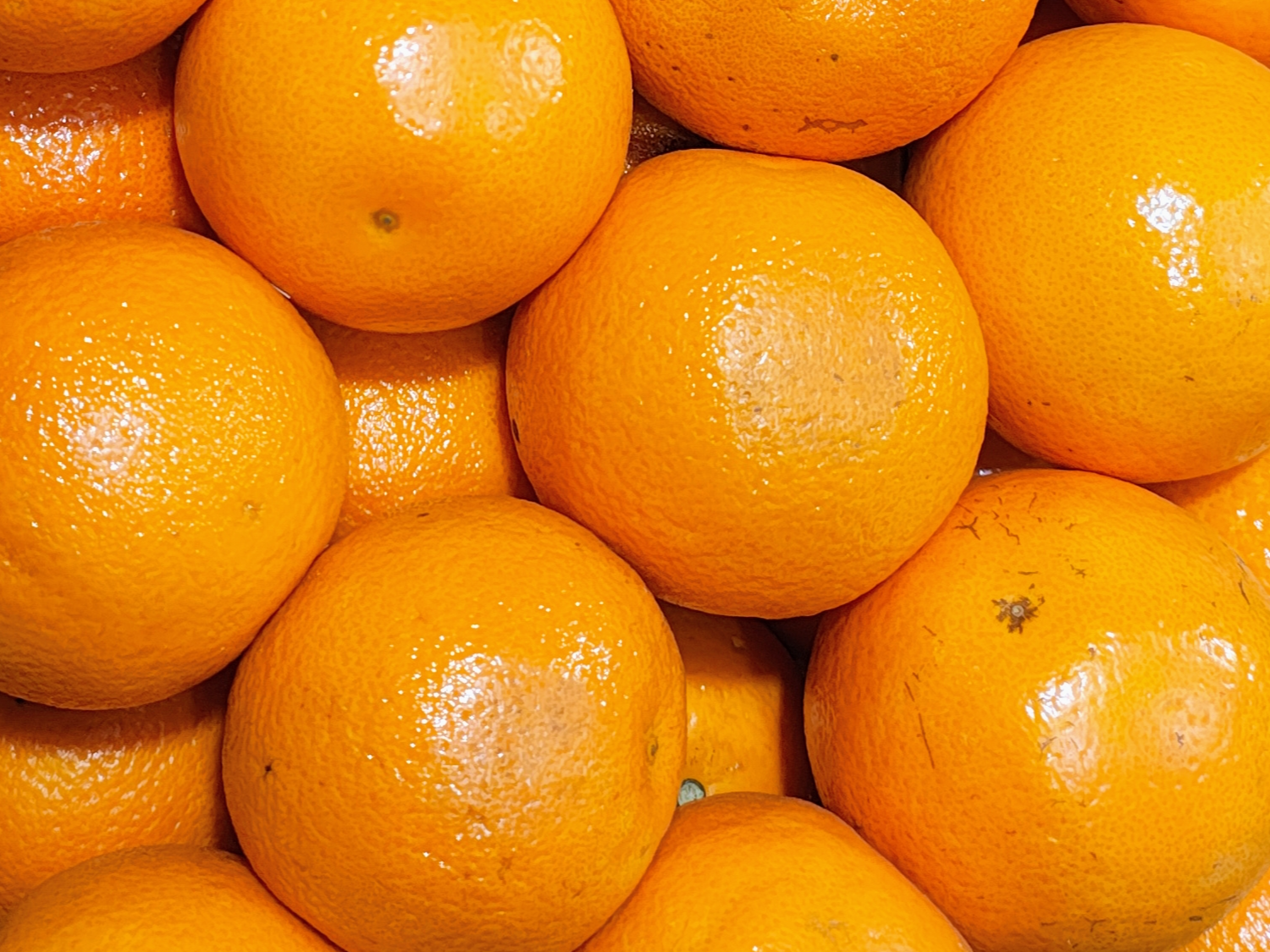 Naranja para jugo