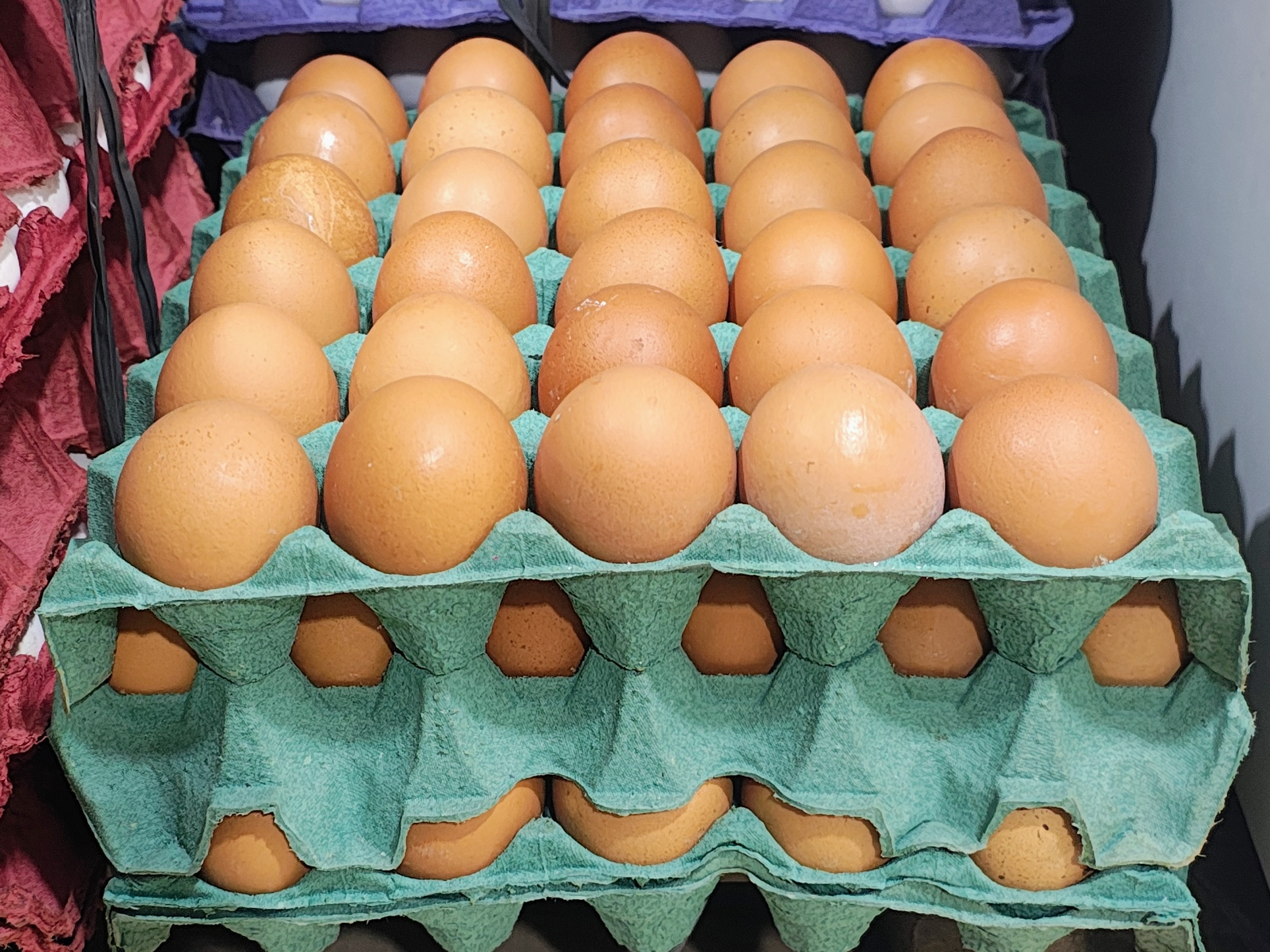 Maple de 30 huevos (grandes)
