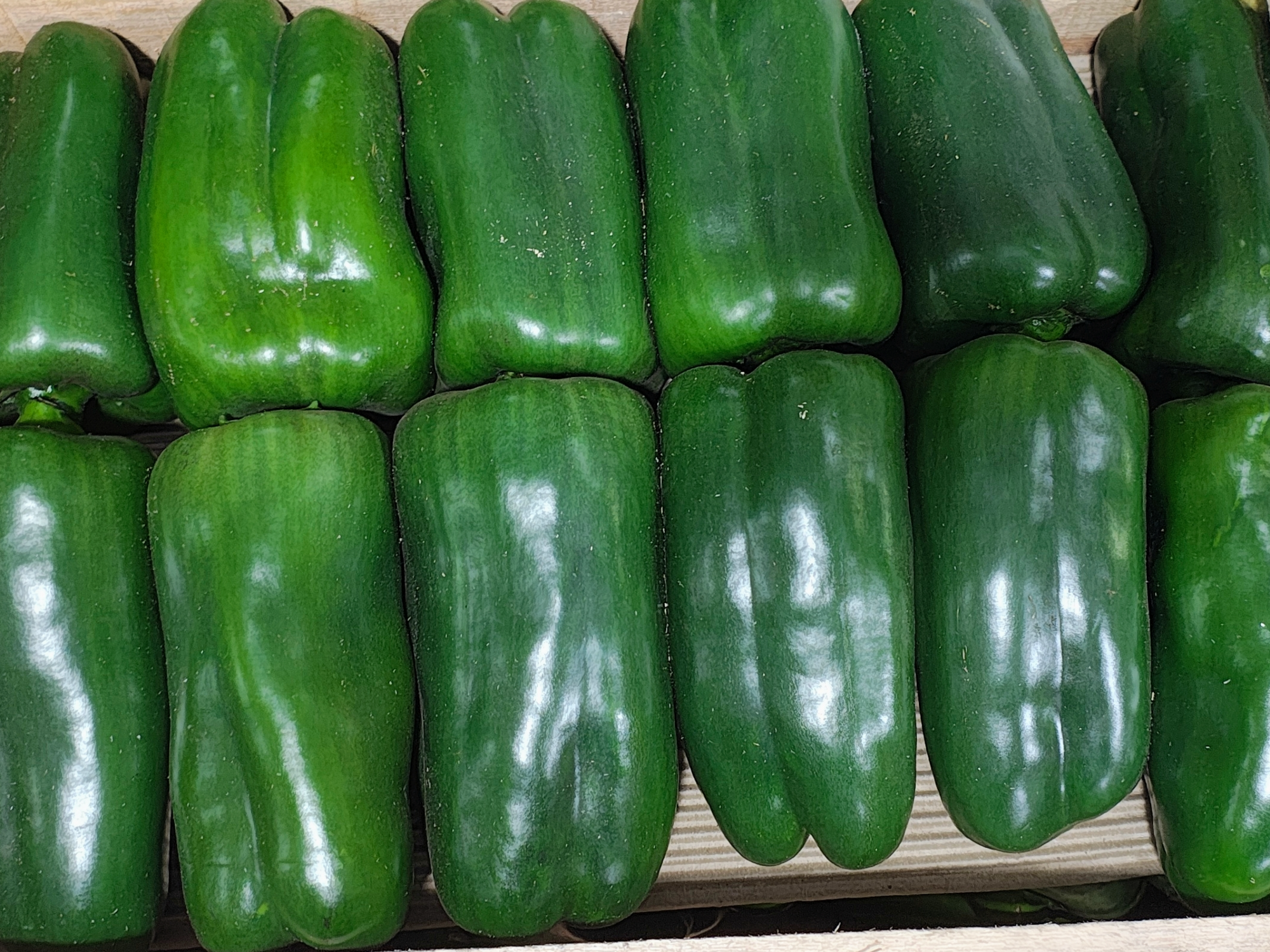 Pimiento Verde