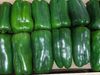 Pimiento Verde