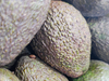 Palta Hazz ( Tamaño 220gr)