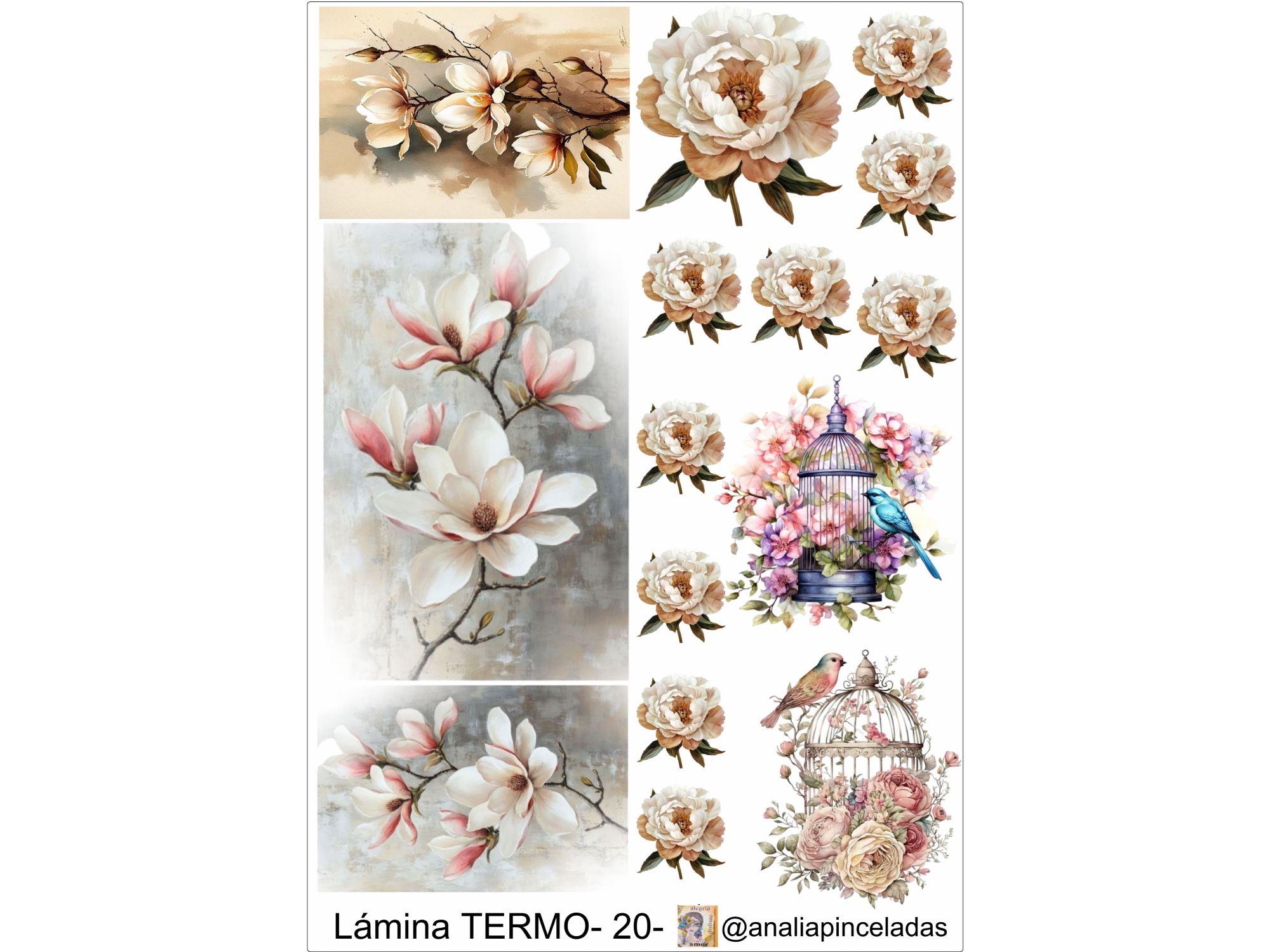 TERMO20