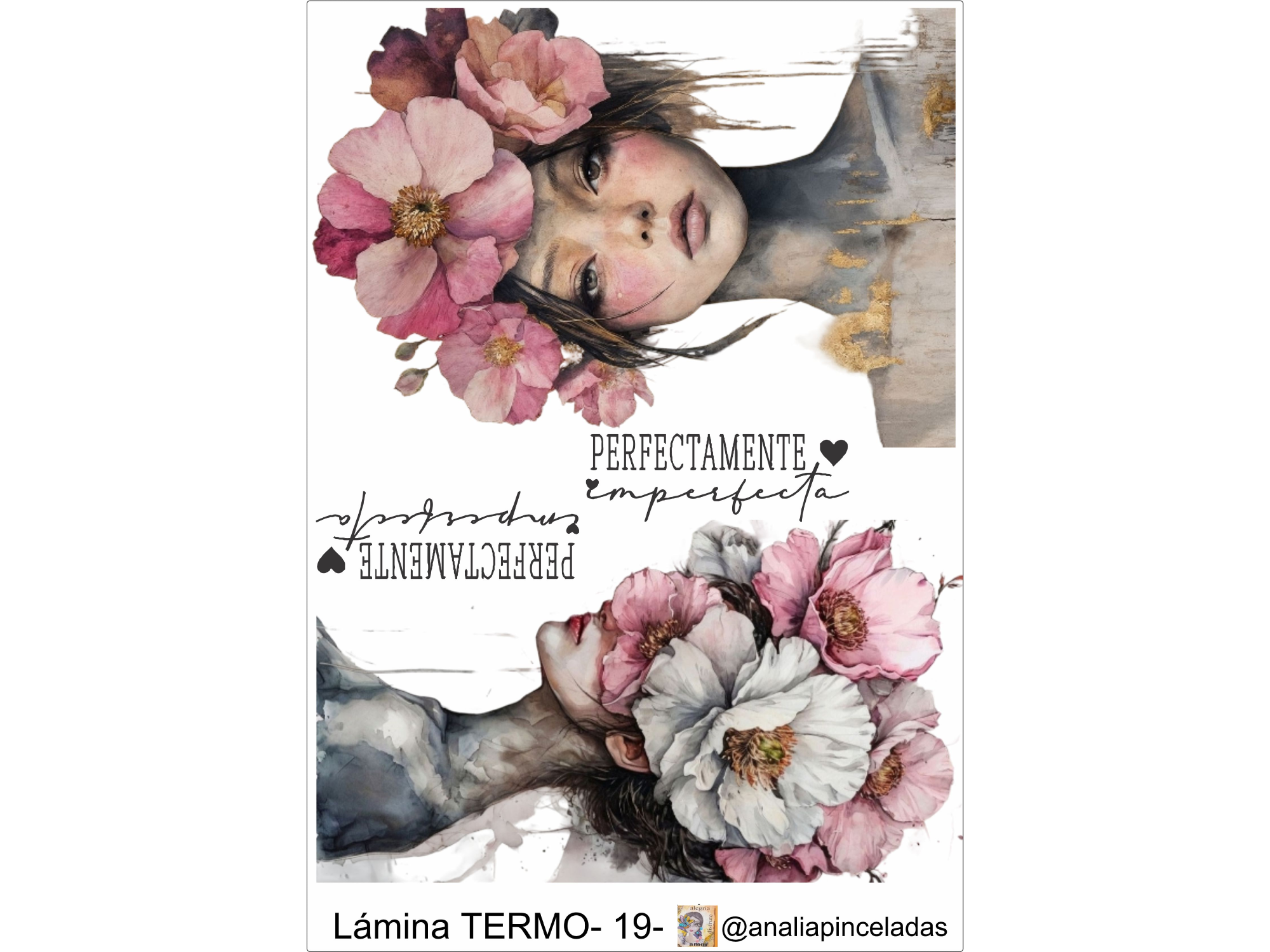 TERMO19