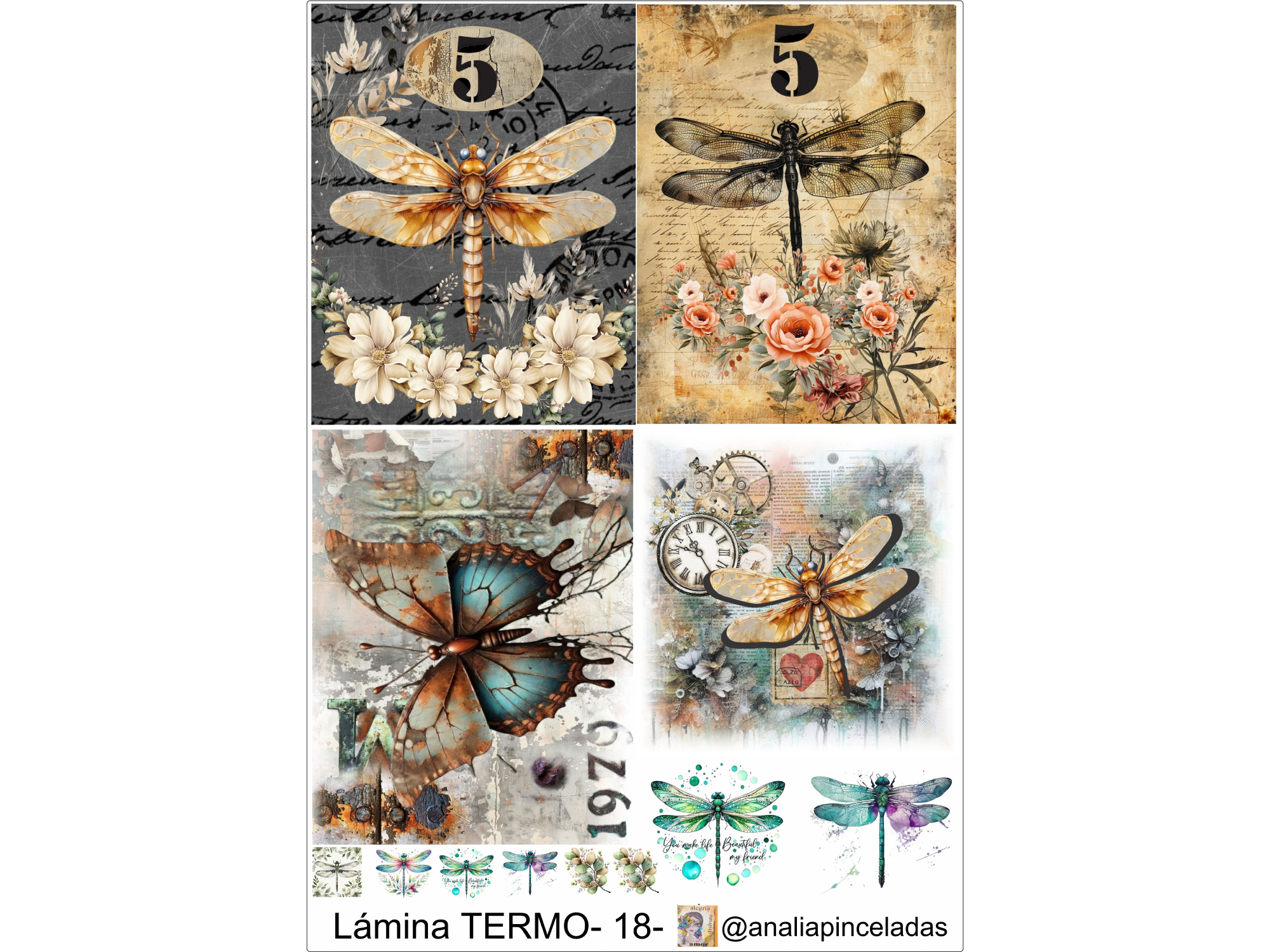 TERMO18