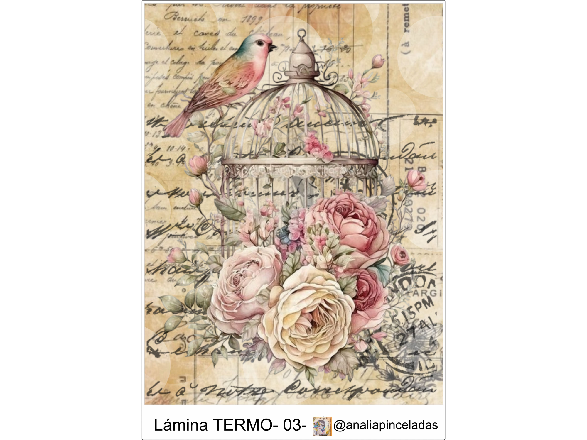 TERMO03