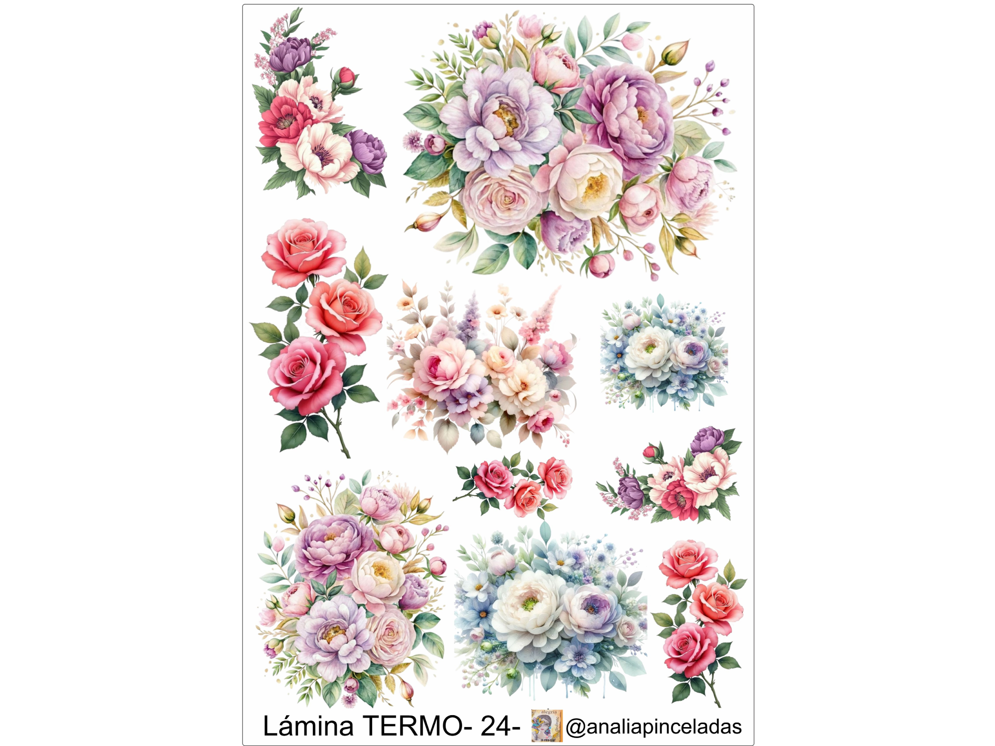 TERMO24