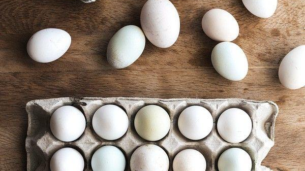 HUEVOS