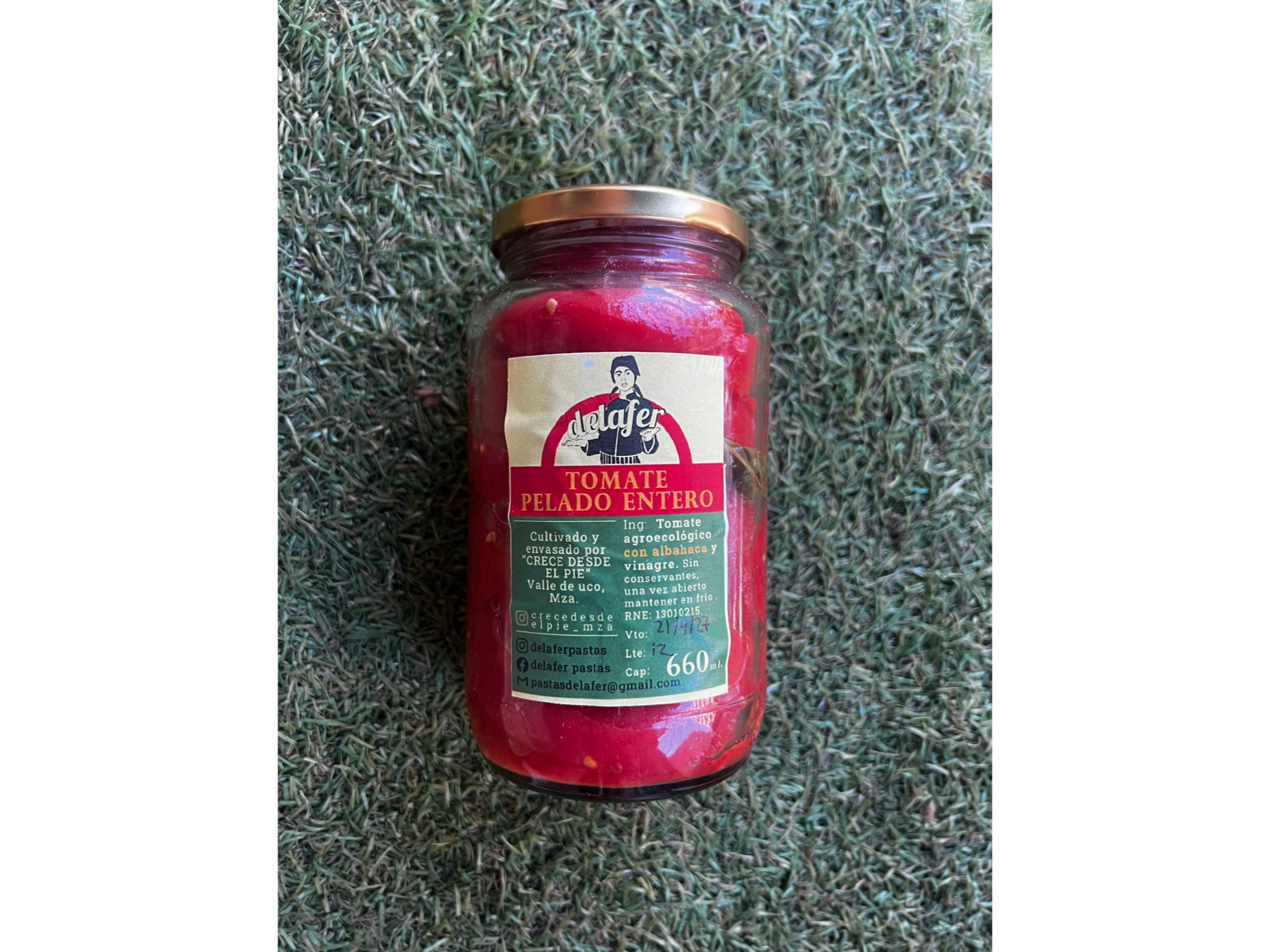 Tomate Triturado con Albahaca y Cebolla