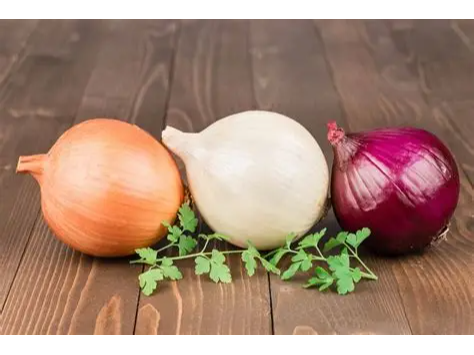Cebolla