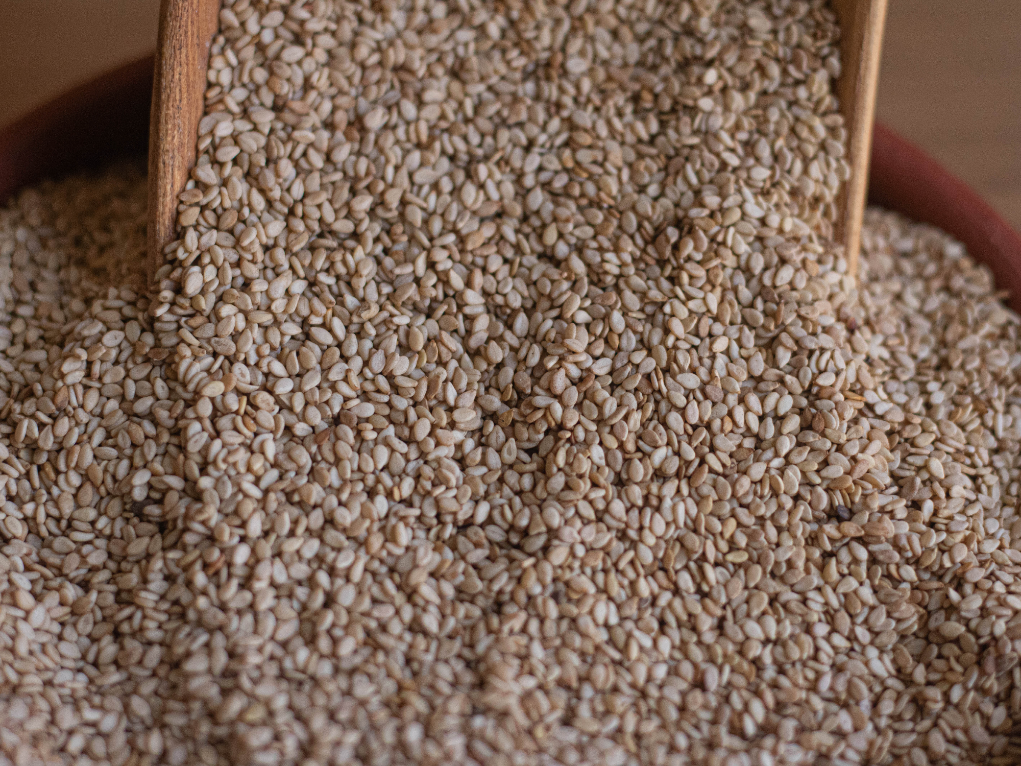 Semillas de Sésamo Integral