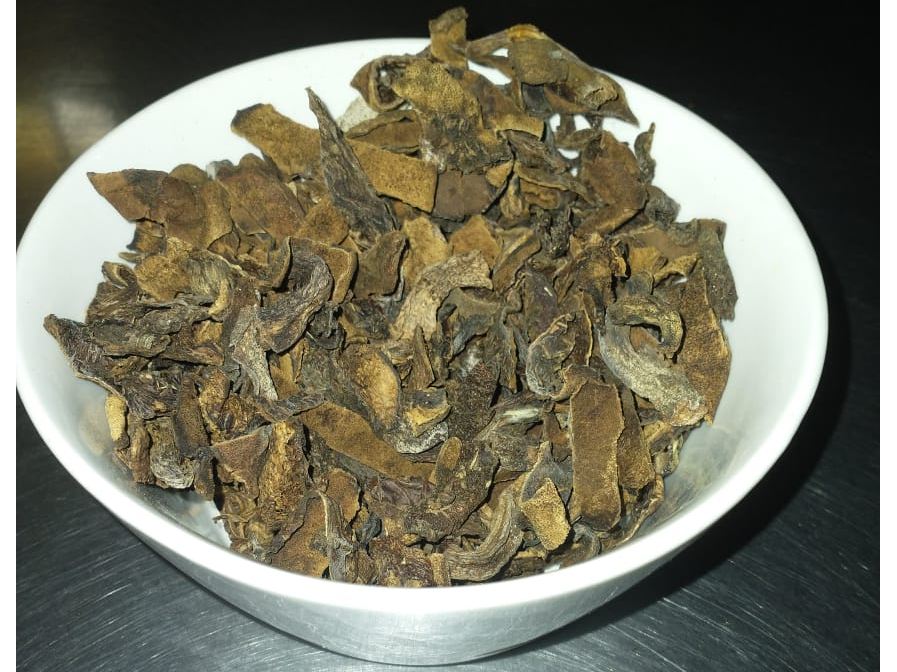 Hongos secos de pino