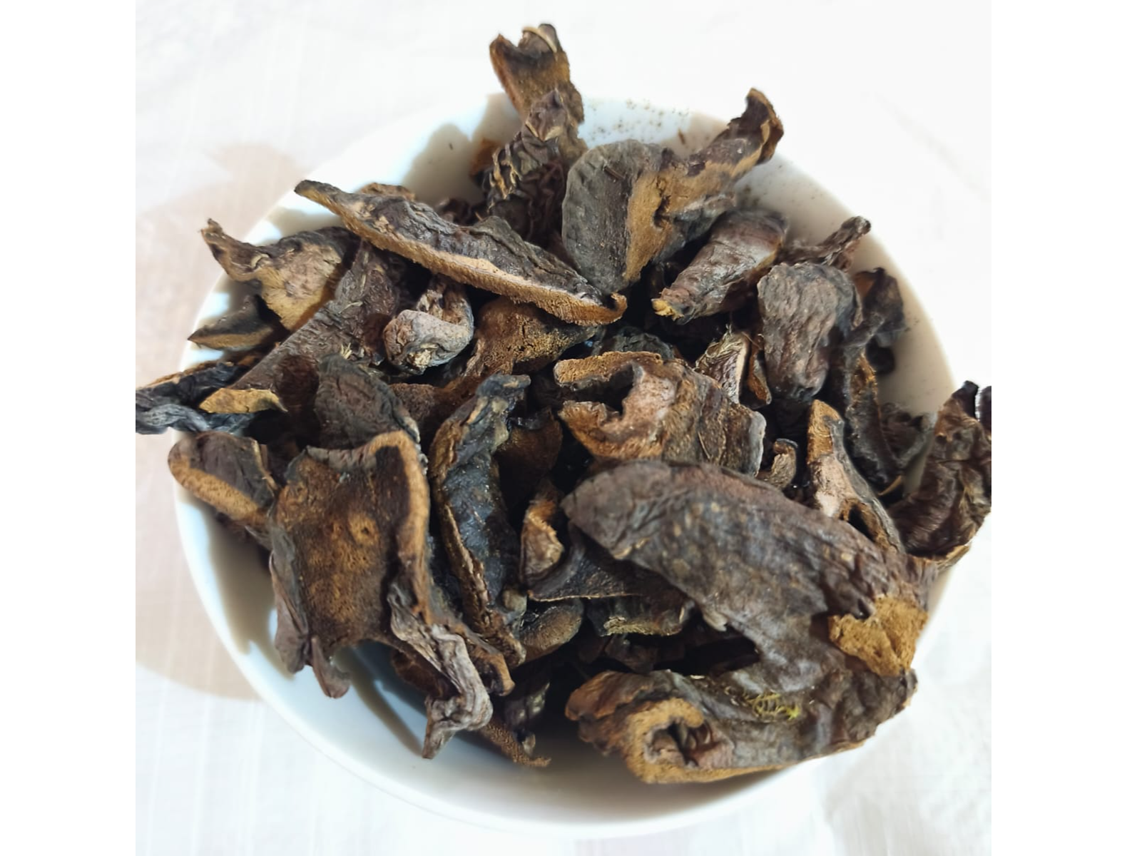 Hongos secos de pino