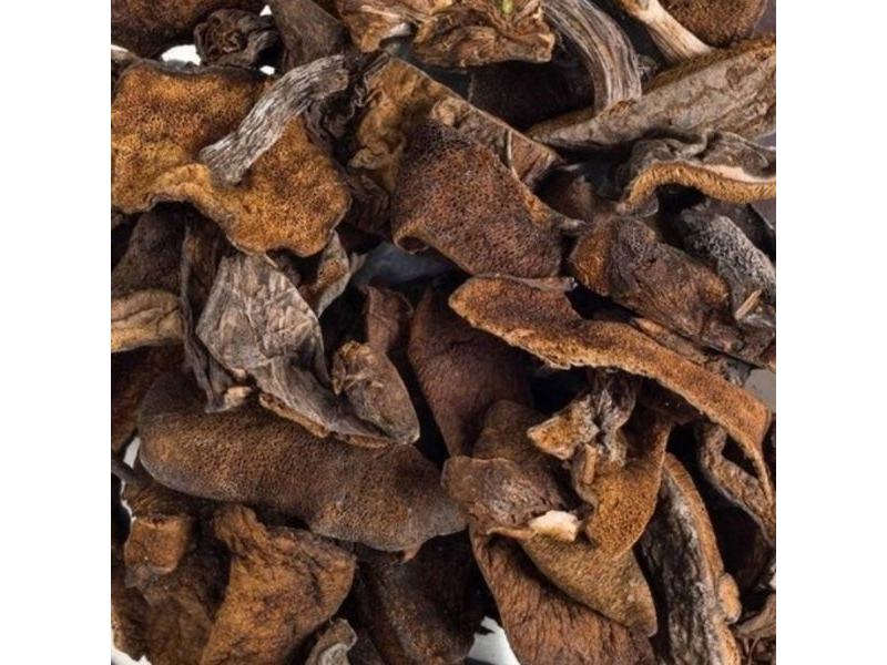 Hongos secos de pino