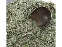 COLA DE CABALLO