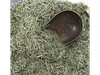 COLA DE CABALLO