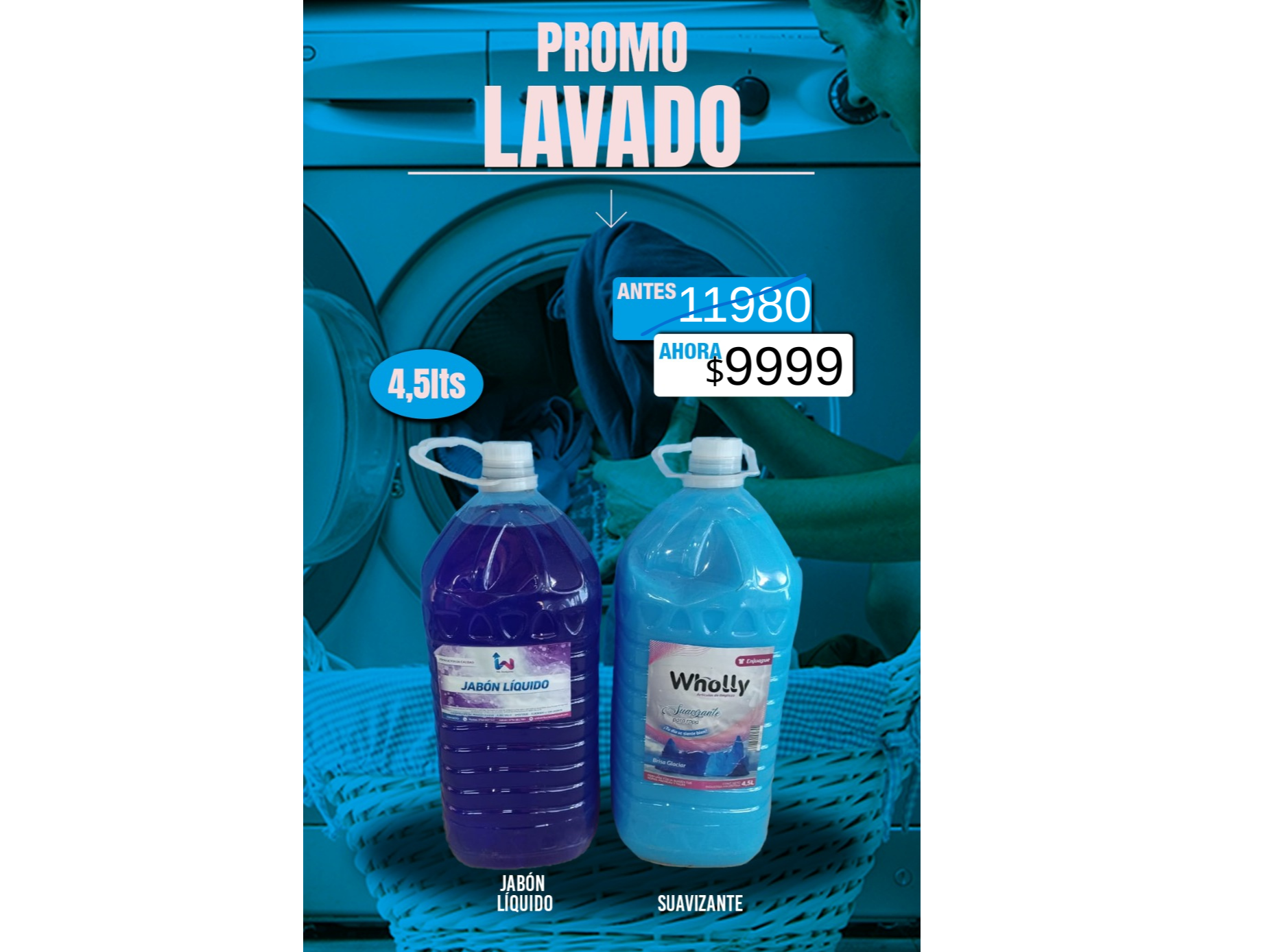 PROMO LAVADO GRANDE 4.5LTS