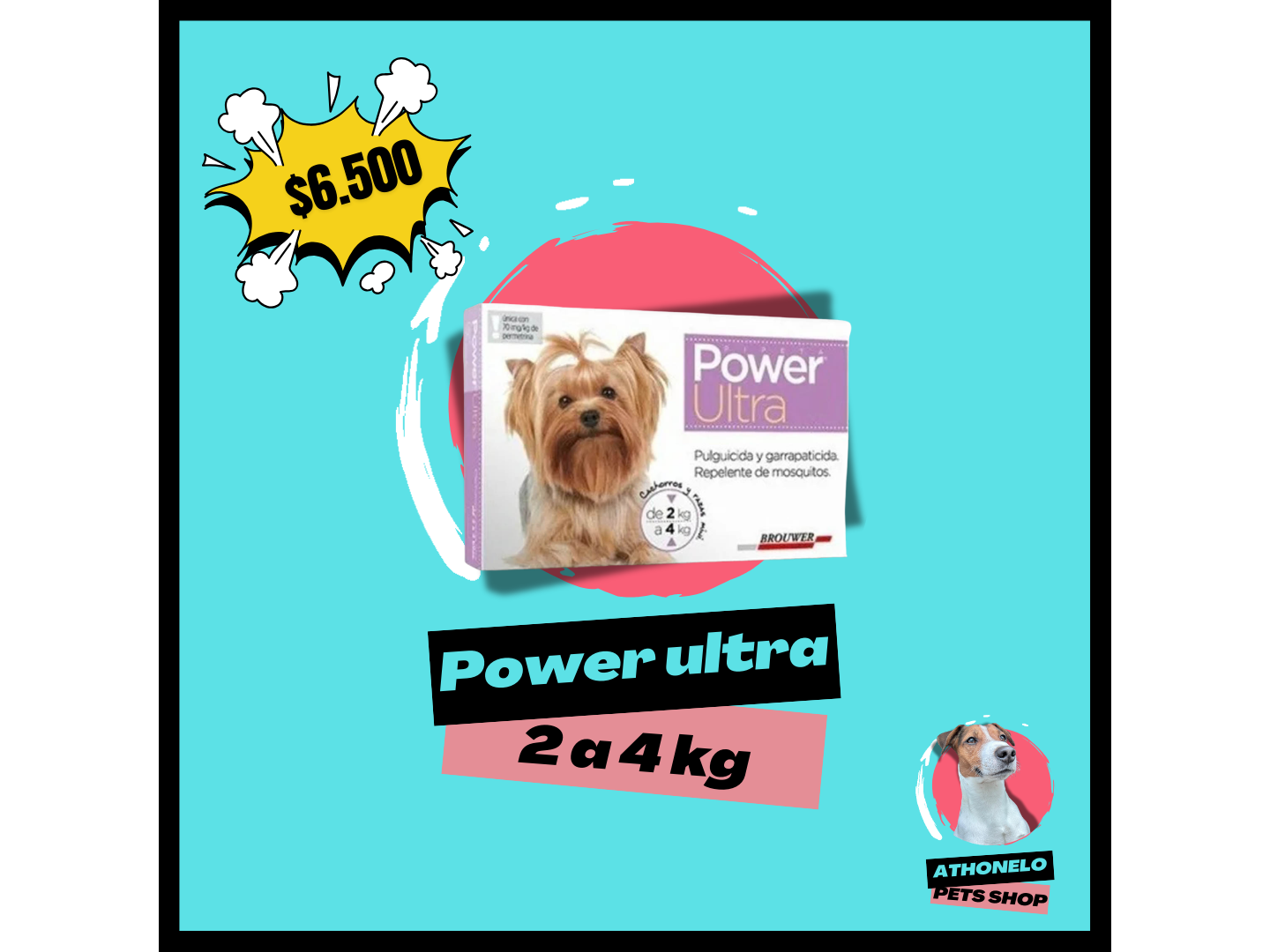 POWER ULTRA de 2 a 4 kg